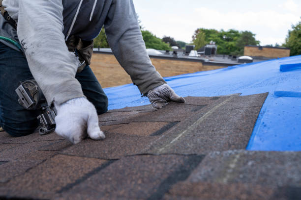 Professional Roofing Contractor in Sneads Ferry, NC